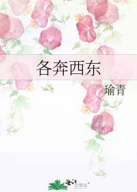 全民烧脑3去广告版