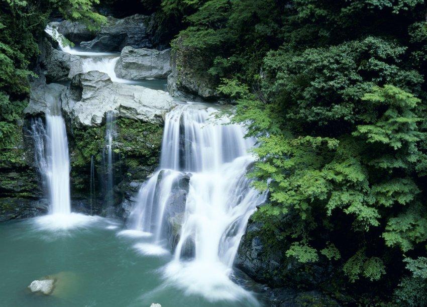 油价下调,加满一箱油将少花11.5元,油价后续还会继续下跌吗?-专业真实的知识问答网页