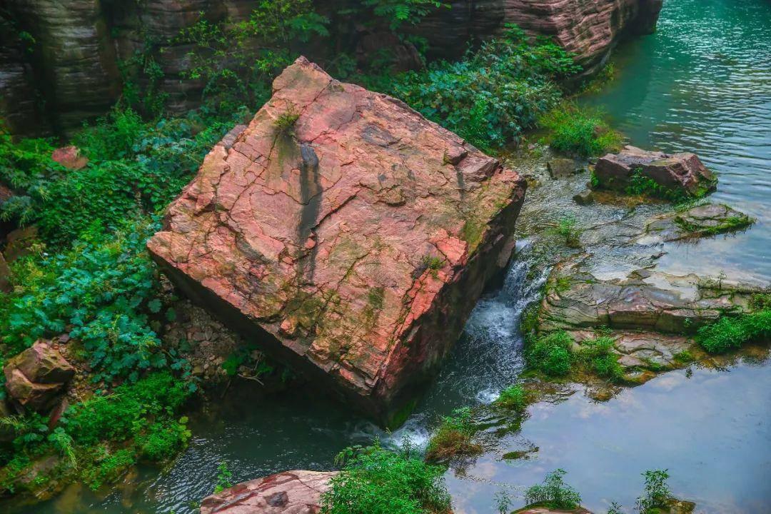 速算小天才